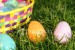 ist2_2972347-easter-egg-basket.jpg